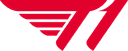 T1