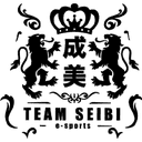 Team SEIBI