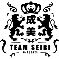 Team SEIBI