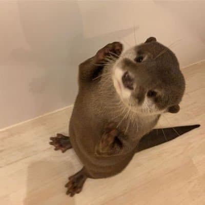 たら